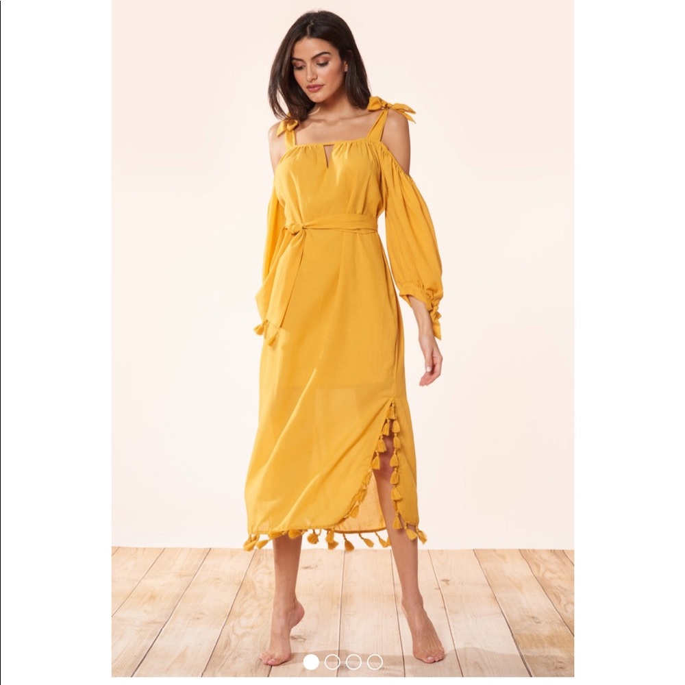 NWT. Red Carter Dress